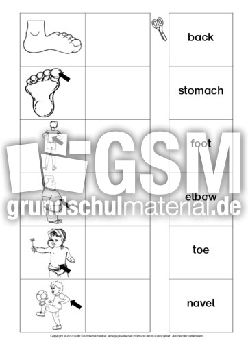 AB-my-body-Zuordnung 5.pdf